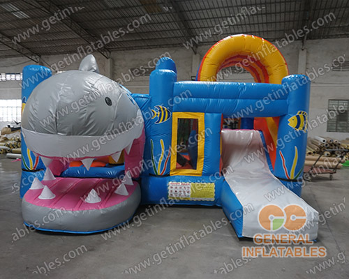 Shark inflatable combo