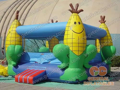 GB-107 maize cob
