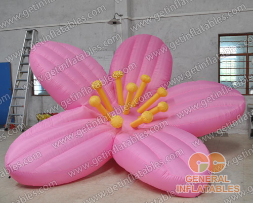 Inflatable Bauhinia