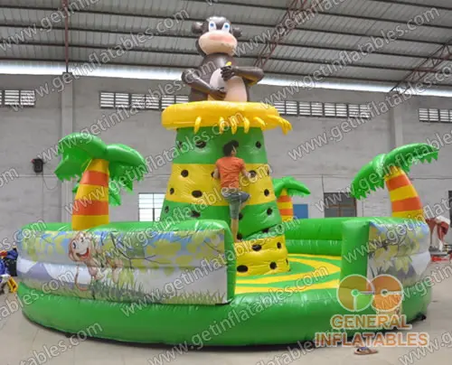 Monkey climbing wall