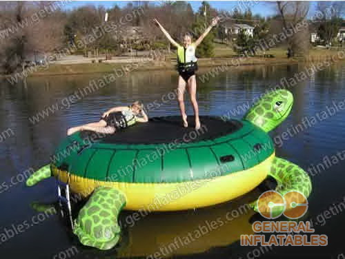 GW-043 Water Turtle