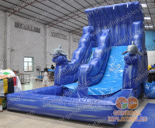 Dophin water slide with pool