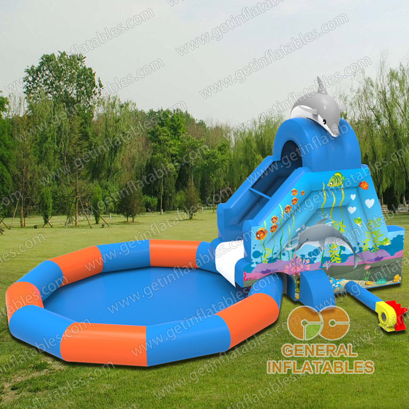 Dolphin water slide with pool