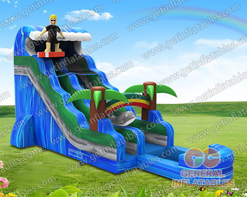 Inflatable Dry/Wet Slide