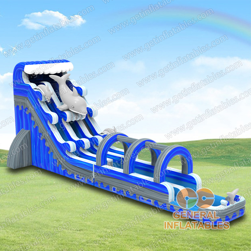 24FT Dolphin dual water slide