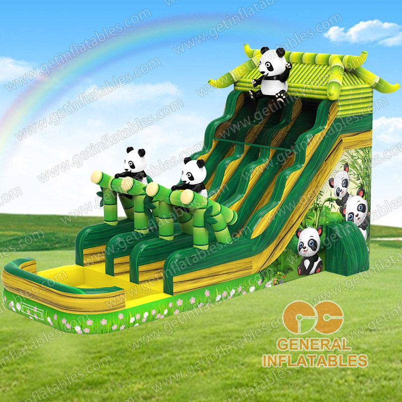 Panda water slide dual lane 