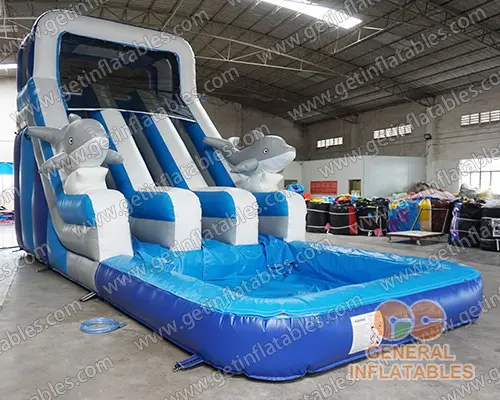 Dolphin dual water slide