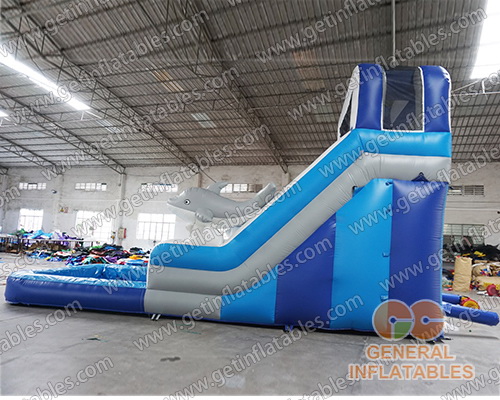 Dolphin dual water slide