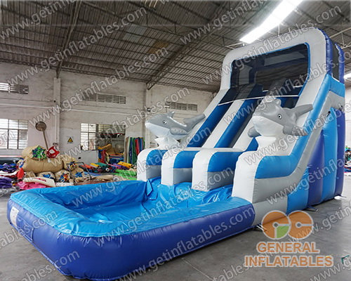 Dolphin dual water slide